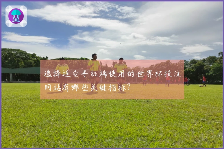 选择适合手机端使用的世界杯投注网站有哪些关键指标？